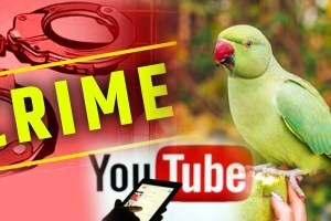 assam police arrest youtuber
