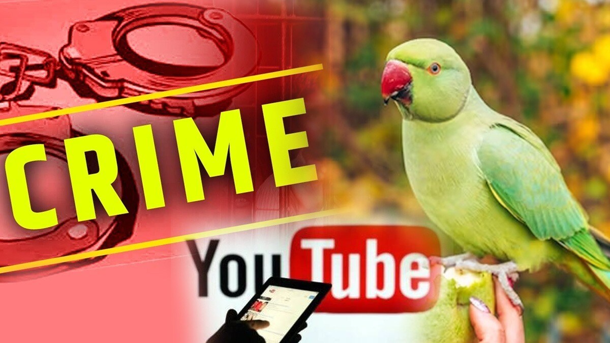 assam police arrest youtuber