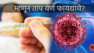Mild fever may help clear infections faster than medicines says Study Why Not To Take Pills In Fever H3N2 Virus