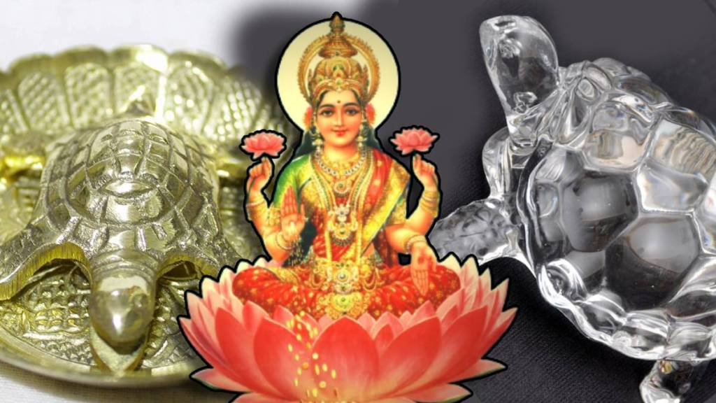Vastu Shastra Home Decor Where To Keep Tortoise Murti at Home To Get More Money Astrology News Today