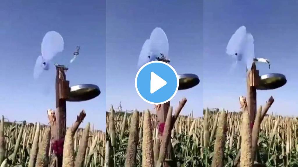 viral video desi jugaad farmer of the village made such device no animals will destroy the field