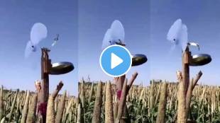 viral video desi jugaad farmer of the village made such device no animals will destroy the field