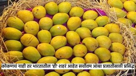 Indian Mango Destinations travel tourism these 8 indian cities have worlds best kind of mangoes