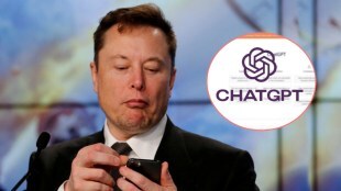 user use chatgpt for tweet to elon musk