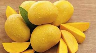 why mangoes should be soaked in water before consuming