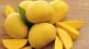 why mangoes should be soaked in water before consuming