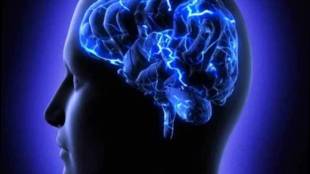 purple day Epilepsy awareness day 2023