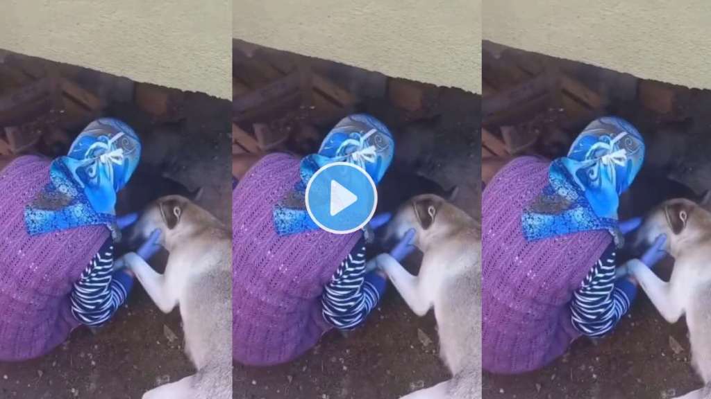 Dog Thanks Woman With A Warm Hug For Feeding Her Puppies