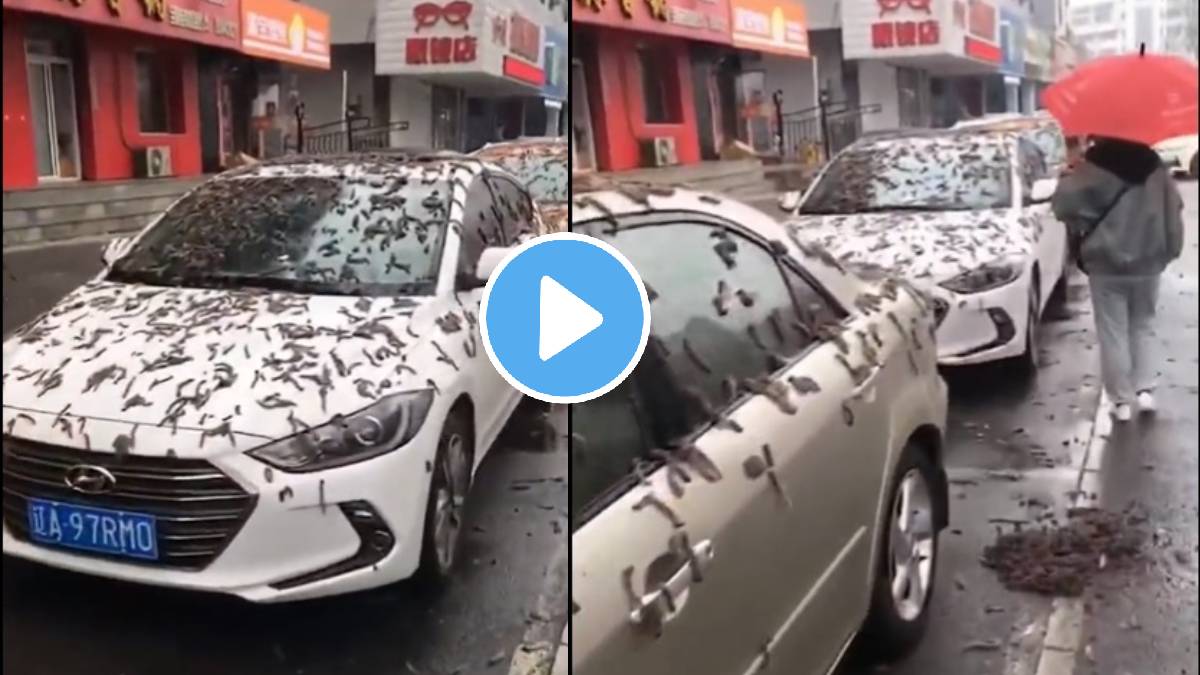 its raining worms in China See this viral video from Beijing