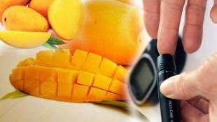 Mango In Diabetes
