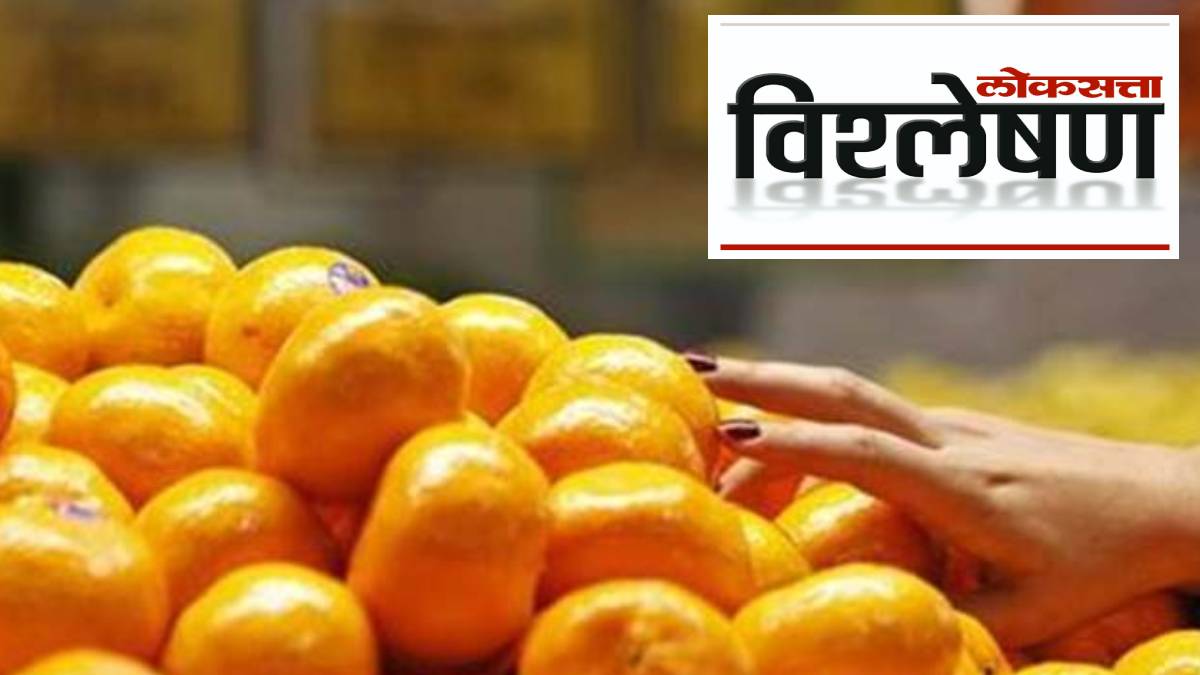 Why did the prices of oranges collapse?