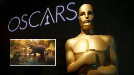 Oscar Awards 2023