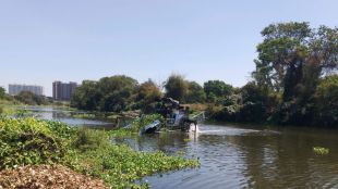 Purification of waterways