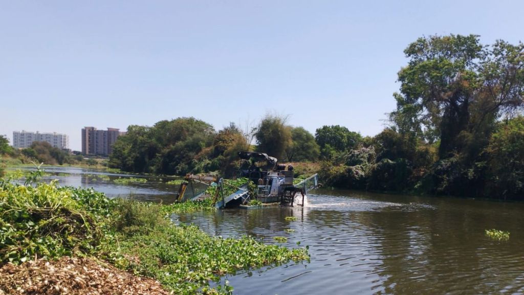 Purification of waterways