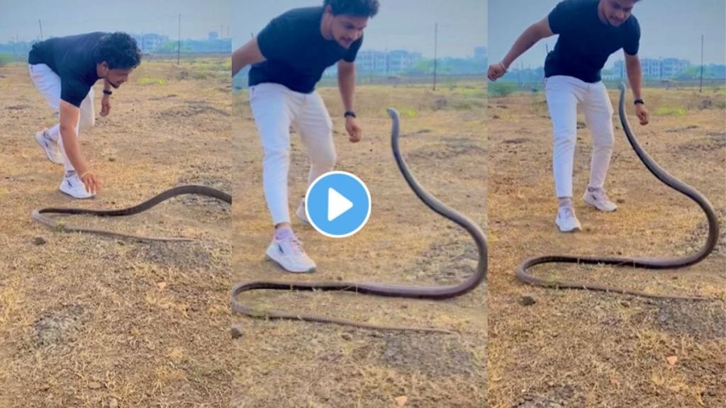 Snake Attacks A Man Viral Video