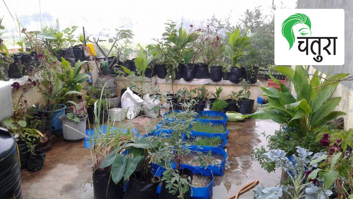 Terrace garden