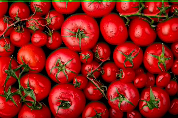 Tomato