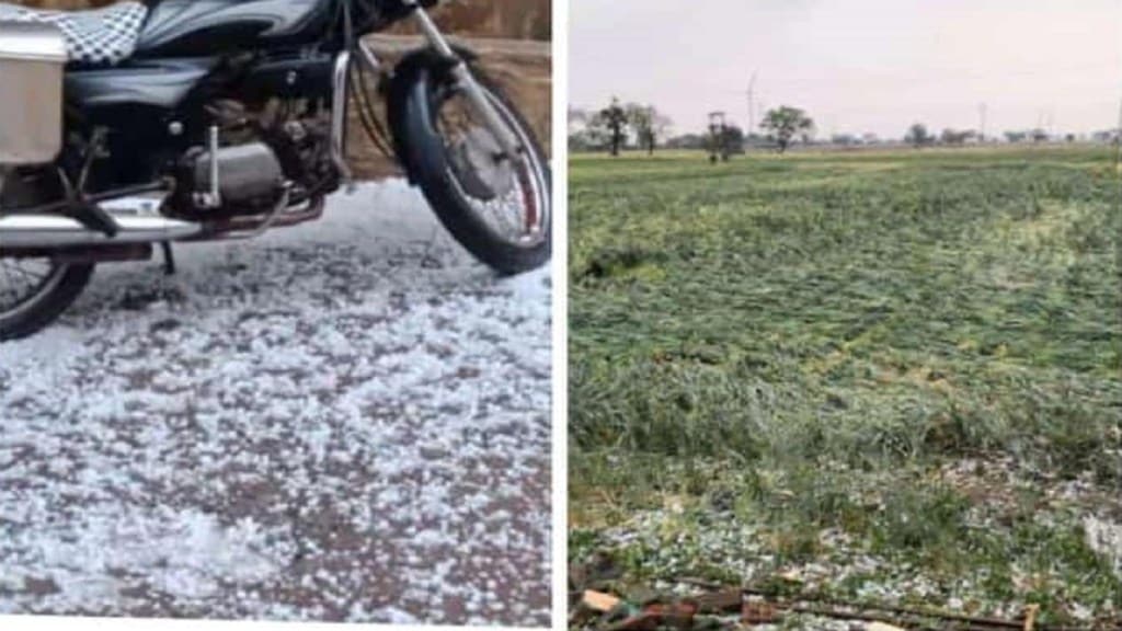 crops damaged hailstorm dhule