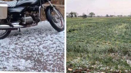 crops damaged hailstorm dhule