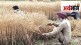 important events commodity market