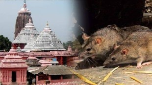 jagannath puri temple news
