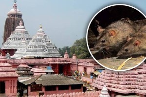 jagannath puri temple news