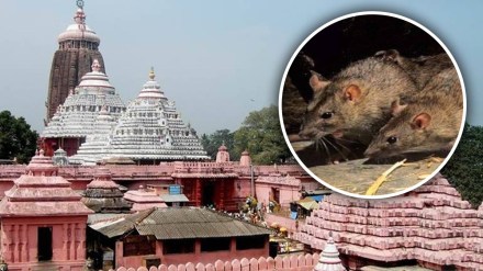 jagannath puri temple news