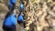 Worker dies after getting trapped in pit of underground sewerage scheme