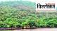 Who is Destroying Thane yeoor Forest Read the Details news