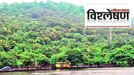 Who is Destroying Thane yeoor Forest Read the Details news