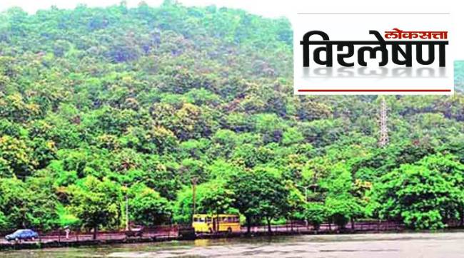 Who is Destroying Thane yeoor Forest Read the Details news