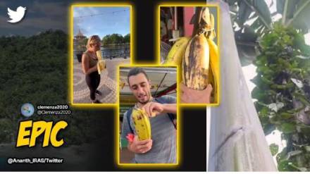 World's Largest Banana Species Weighs More Than 3 Kg Watch Video