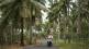 why bali is banning tourists from renting and riding motorbikes