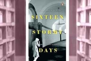 book review sixteen stormy days