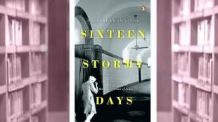 book review sixteen stormy days