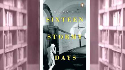 book review sixteen stormy days