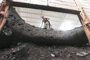 coal india