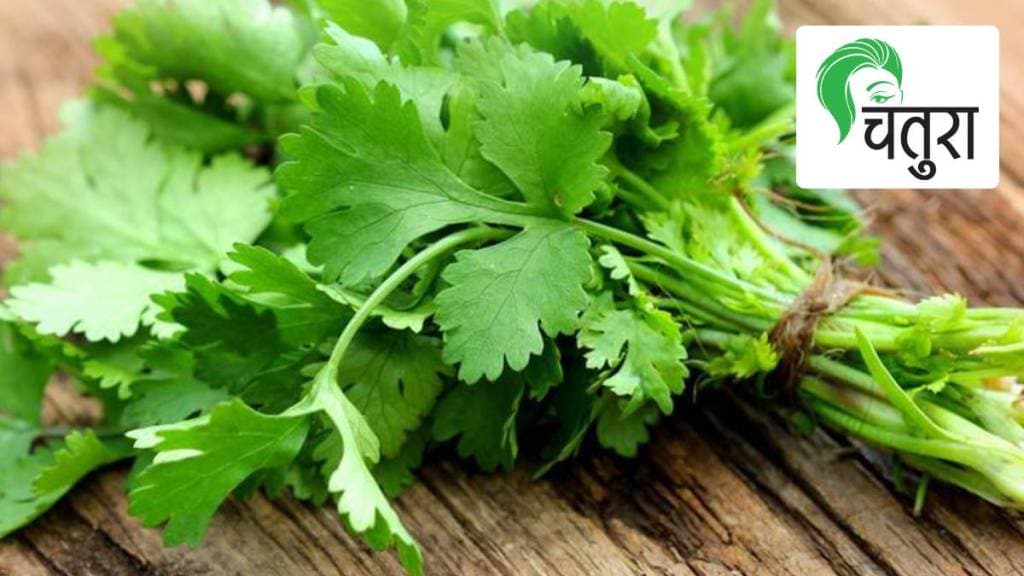 coriander