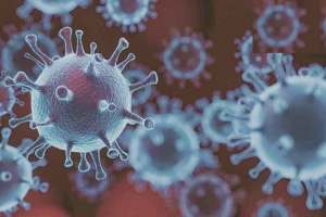 health experts opinion on patients corona