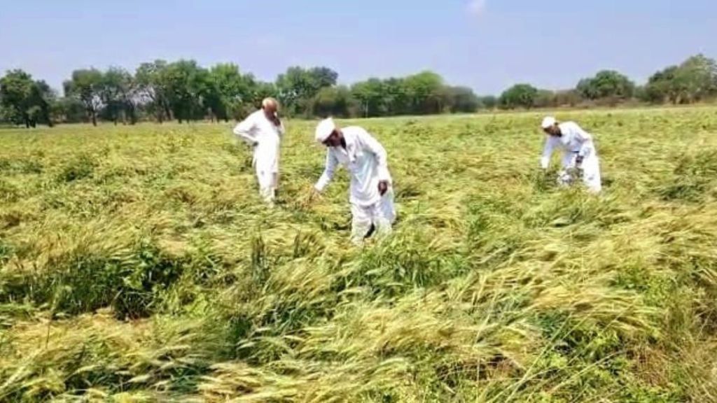 farm loss