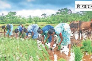 farmers