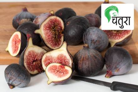 figs Anjir ficus carica