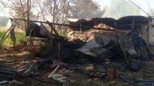 8 animals died after cowshed caught fire