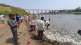 fish death in krishna river due to polluted water