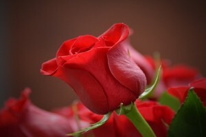 unseasonal rains price flowers