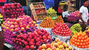 fruits
