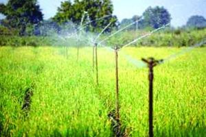 irrigation farming