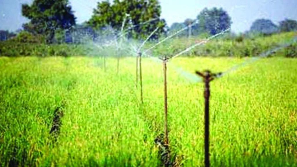irrigation farming