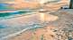 information articles about animals live in the sand