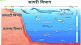 kutuhal sea dep